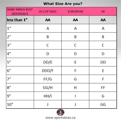 Bra Cup Size Scale