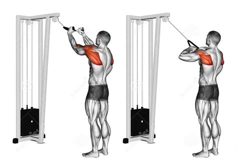 Pin By Carlos Profire On Bodybuilding Shoulder Workout Cable Workout