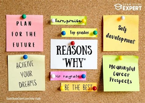 Why Study 17 Reasons And Benefits To Inspire And Motivate You Exam Study