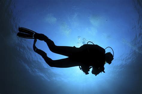 Egyptian Scuba Diver Sets New World Record Actionhub