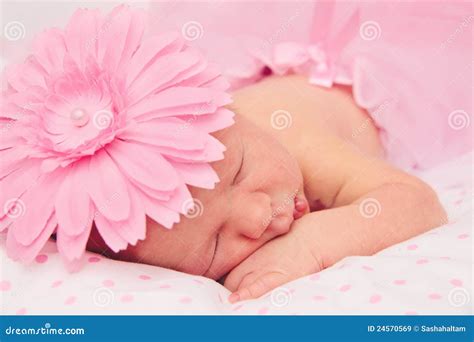 Adorable Sleeping Newborn Baby Girl Stock Image Image Of Cute