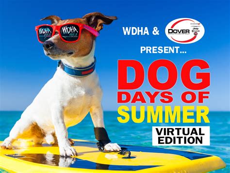 Dog Days Of Summer: Virtual Edition