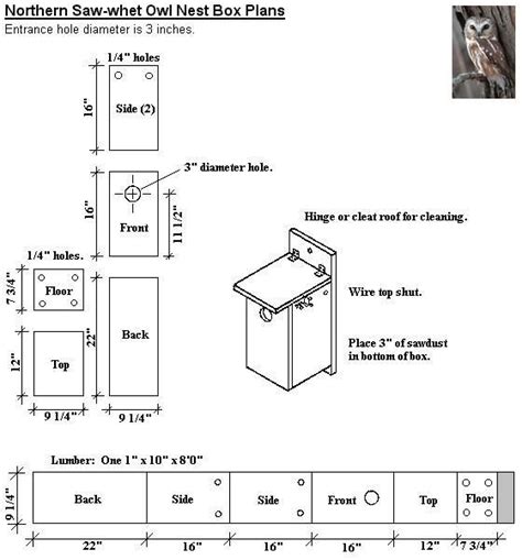 Please read all directions before beginning any new woodworking project! Northern Saw-whet Owl Nest Box Plans | For the birds ...