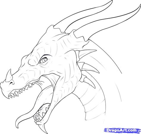How To Draw A Dragon Head Step By Step Dragons Draw A Dragon