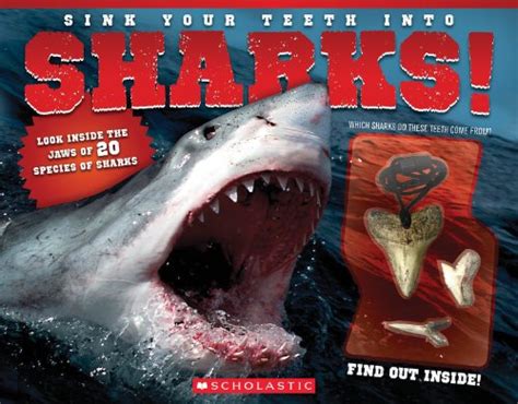 Sink Your Teeth Into Sharks Tracosas L J 9780545603324 Amazon
