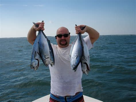 F Albacore Tuna Saltwater Fishing Nc Profishnc Charters Free Nude