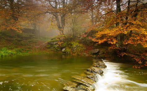 Nature Landscape River Forest Trees Stones Wallpapers