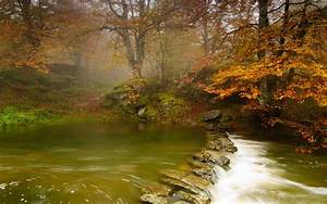 Nature, Landscape, River, Forest, Trees, Stones, Wallpapers