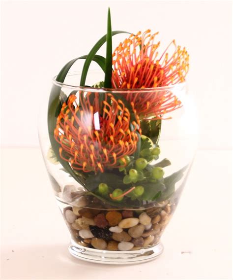 Brighten your space with charming seasonal flowers! This vase provides a long lasting, stylish design that is ...