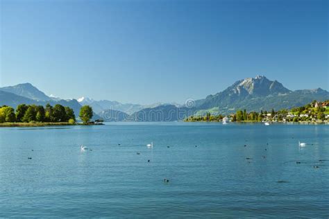 Shores Of Lake Lucerne As Seen From Kussnacht Am Rigi In Switzerland Editorial Photo Image Of