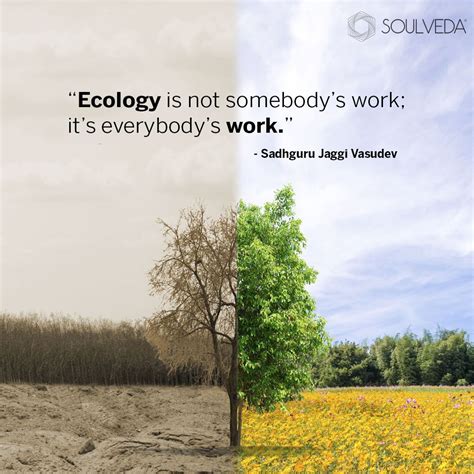 Environment Quotes Save Environment Environment Concept Ecological