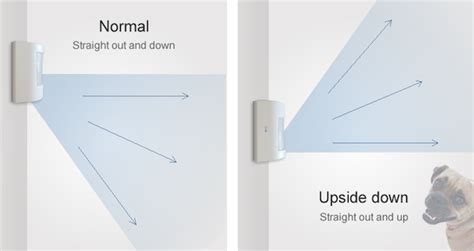 How to run motion detector wiring for home security systems. This Motion Sensor Trick Keeps Pet Owners Happy | DIY Home ...