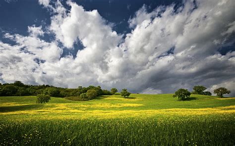 Hd Wallpaper Green Grass Field Under Blue And White Cloudy Sky During
