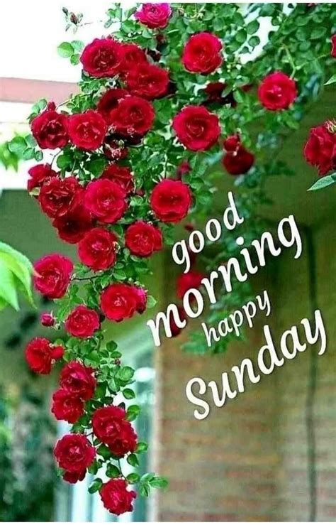 Top Collection Of 999 Good Morning Happy Sunday Hd Images In Full 4k
