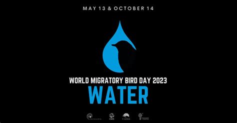 World Migratory Bird Day Wmbd 2023 Date Theme Origin And