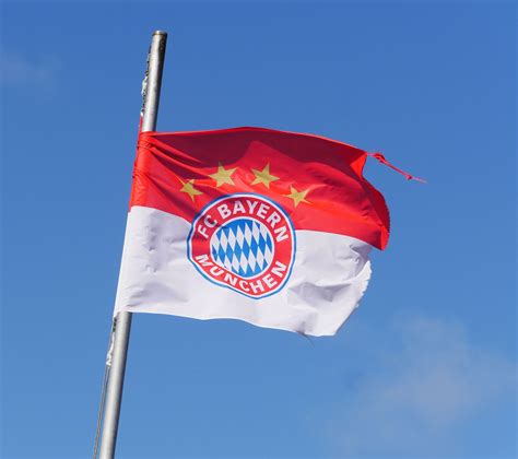 Download Free Photo Of Fc Bayern Munichclub Flagsturmerprobt