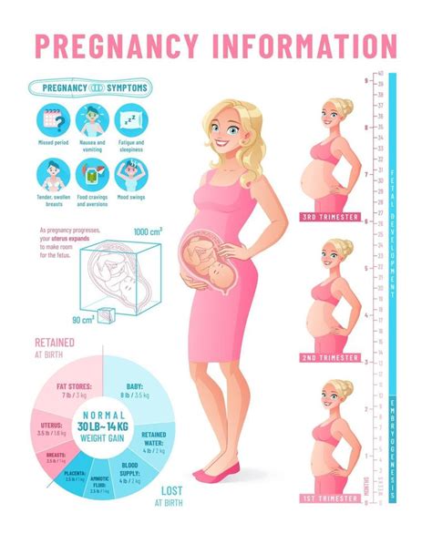 Pregnancy Infographics With Healthy Pregnant Woman Vector Illustration