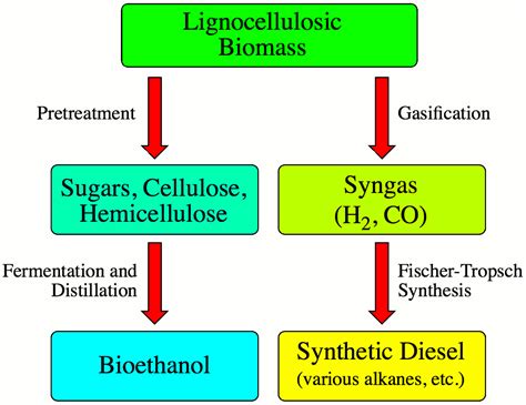 Apr 01, 2013 · lignin, the second most abundant natural polymer found at 25 to 35% (dry weight) in lignocellulosic biomass (lavoie et al., 2011), is mostly composed of phenyl propane units. Outlook for Lignocellulose Derived Fuels