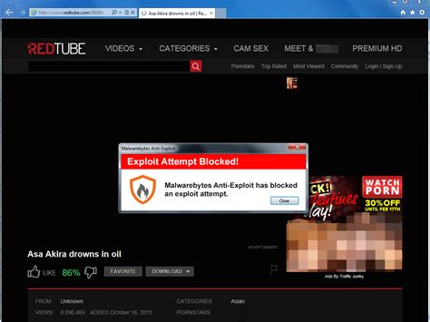 You Can Get Identity Stealing Malware By Watching This Popular Porn