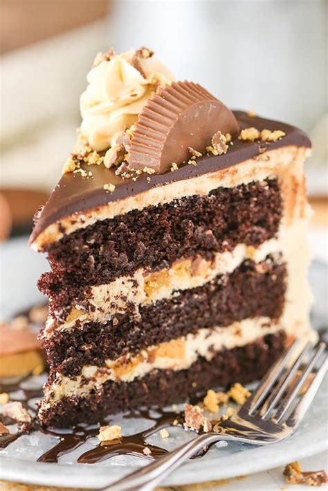 Peanut Butter Chocolate Layer Cake Life Love And Sugar