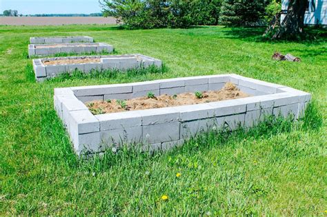 Cinder Block Raised Garden Bed Wholemade Homestead
