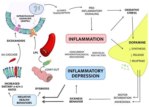 Ijms Free Full Text Inflammatory Depression—mechanisms And Non