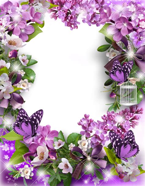 Photo Frame Lilacs And Butterfliespng 995×1280 Flower Picture