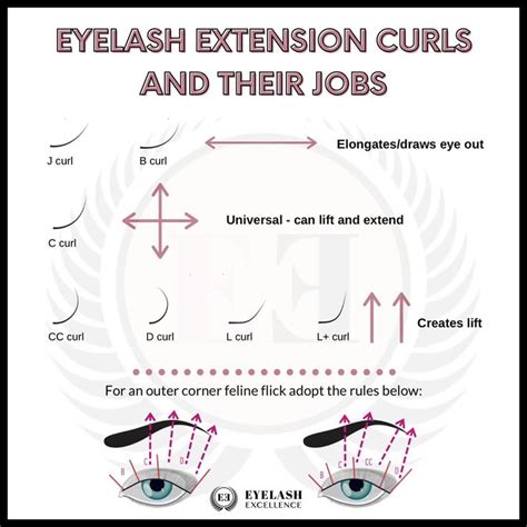 Beauty Room Salon Eyelash Extension Training Eyelash Tips Eyelash