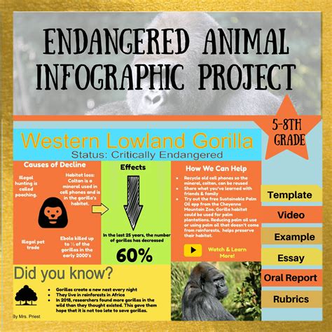 Endangered Animal Infographic Project Polka Dots And Protons