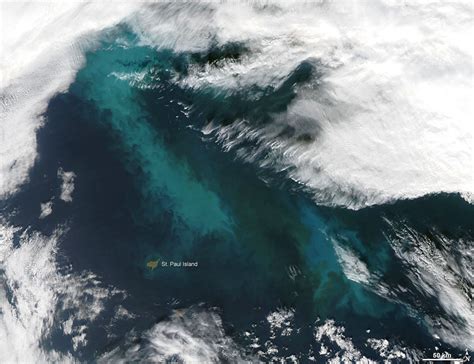 Picture Of The Day Phytoplankton Bloom In The Bering Sea