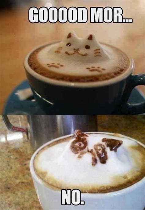 Coffee Art Grumpy Cat Humor Grumpy Cat Grumpy