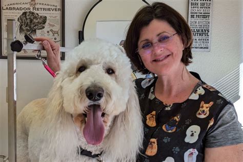 Dogsmind Grooming - Dog Grooming