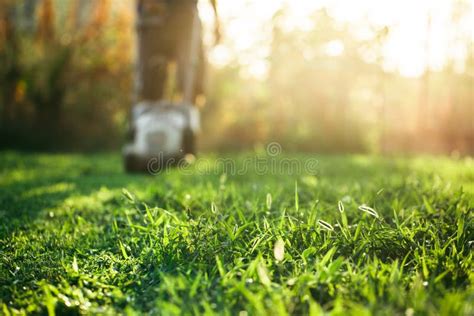 Lawn Mower Cutting Green Grass In Backyardgardening Background Stock