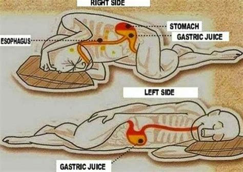 This Is Why You Should Sleep On Your Left Side Backed By Science Gardeniaworld