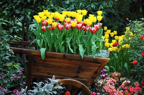We did not find results for: 34 Best Wheelbarrow Planter Ideas