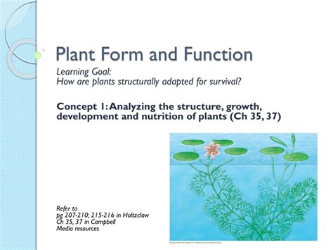 Ppt Plant Form And Function Powerpoint Presentation Free Download