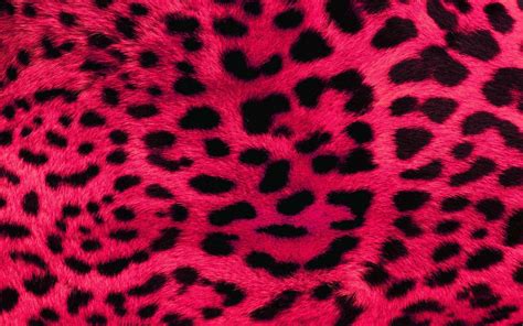 100 Aesthetic Cute Cheetah Print Wallpapers