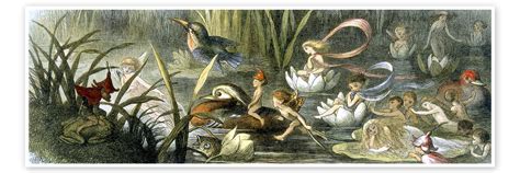 Water Lilies And Water Fairies Print By Richard Doyle Posterlounge