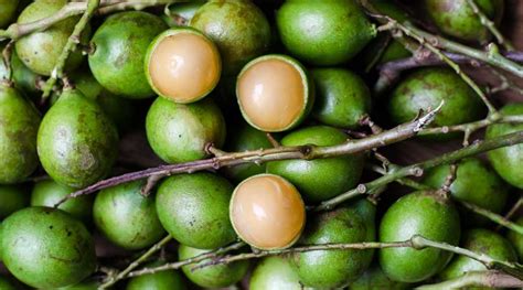 13 Puerto Rican Fruits You Must Try By A Local
