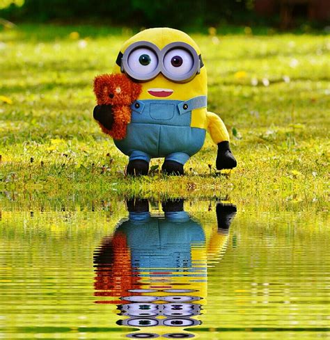 An Incredible Compilation Of Full 4k Minion Wallpaper Images Over 999