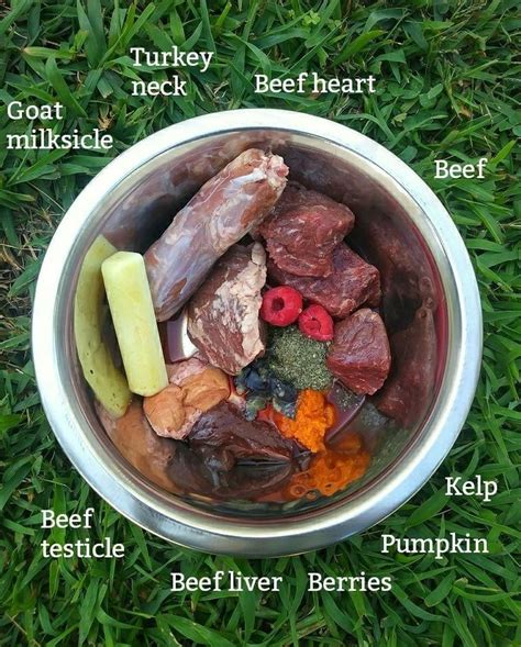 The Top 15 Raw Dog Food Diet Recipes Easy Recipes To Make At Home