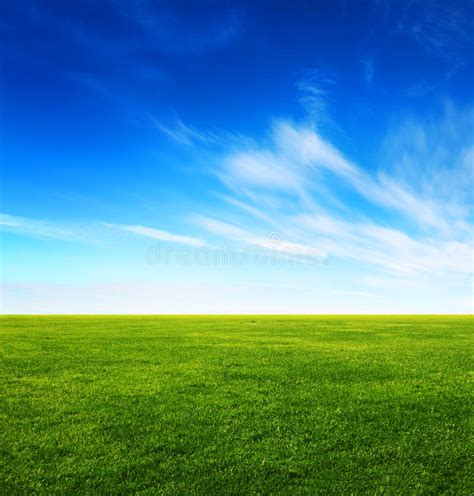 Green Grass Field And Bright Blue Sky Stock Photo Image