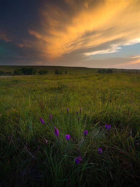 Tallgrass Prairie Summer Sunset Tallgrass Prairie National Preserve