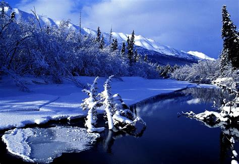 River Winter Nature Wallpaper 🔥 Top Free Wallpapers