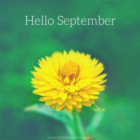 Hello September Quotes For A Productive Autumn Morning Images