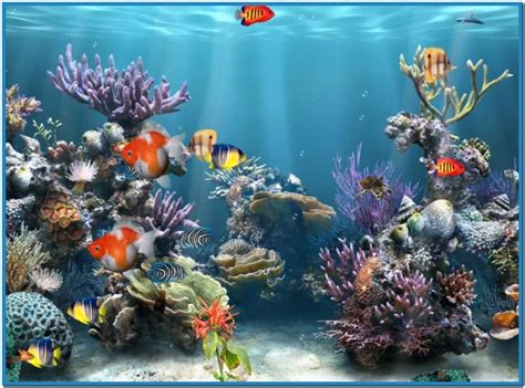 Aquarium Wallpaper for Windows 10 - WallpaperSafari