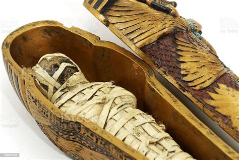 Hé lộ công thức ướp xác của người Ai Cập cổ Báo Giáo dục và Thời đại