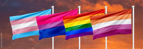 Collection Of Lgbt Community Different Pride Flags Lesbian Gay Transgender Bisexual Stock