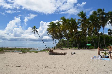 Santo Domingo Dominican Republic Beach Of Juan Dolio Octo Flickr