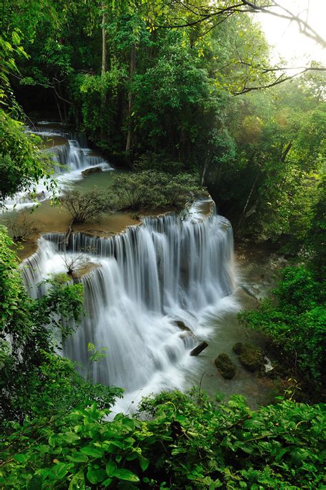 The location of the rainforest if often near the equator. Tropical Rain Forest Waterfall | Tropical Rain forest ...